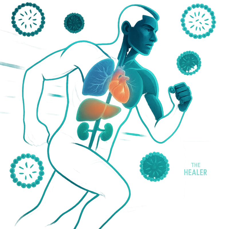 Why Organ Health is the Next Big Thing in Sports Nutrition